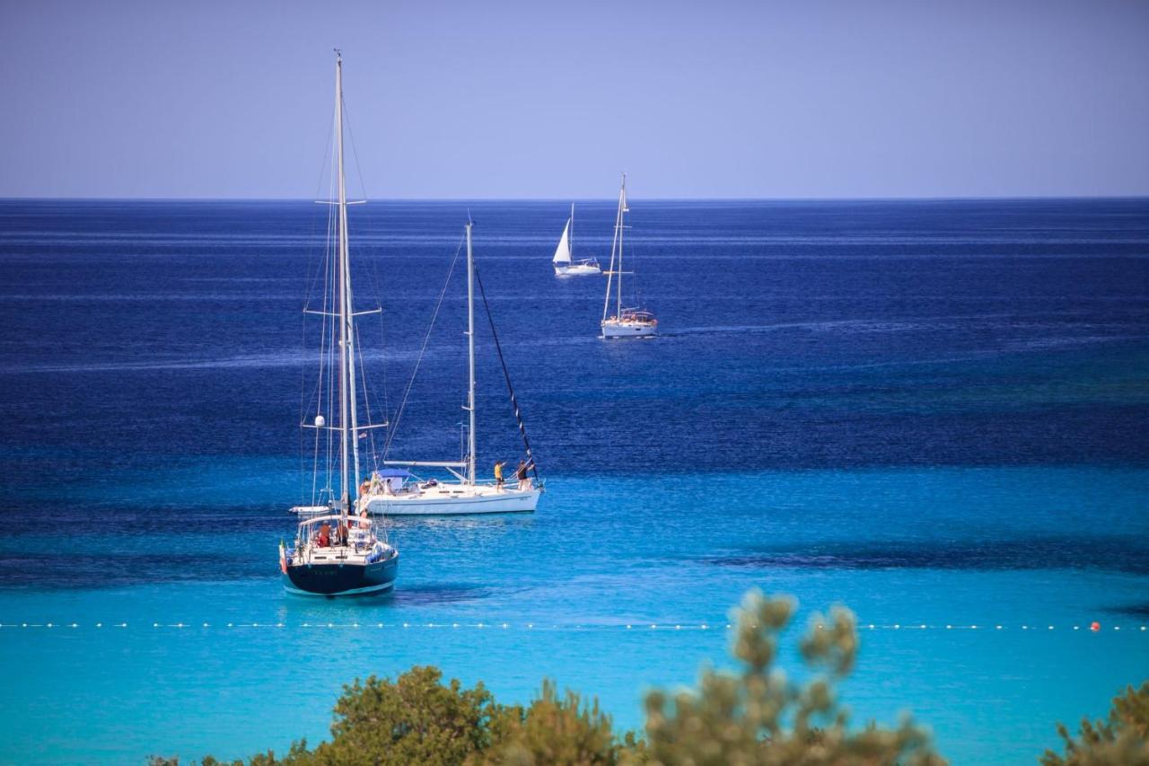 Seven Apartman Daire Zadar Dış mekan fotoğraf